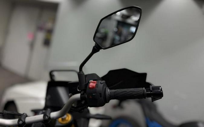 2025 Suzuki V-STROM 800DE