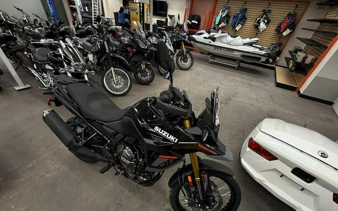 2025 Suzuki V-STROM 800DE