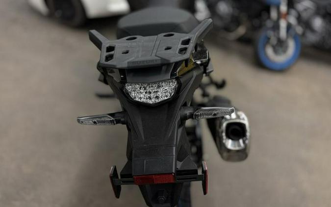 2025 Suzuki V-STROM 800DE