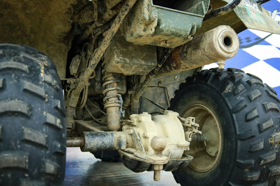 2007 Honda FourTrax Recon® ES