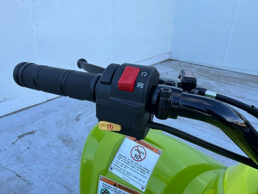 2026 Yamaha Raptor 110