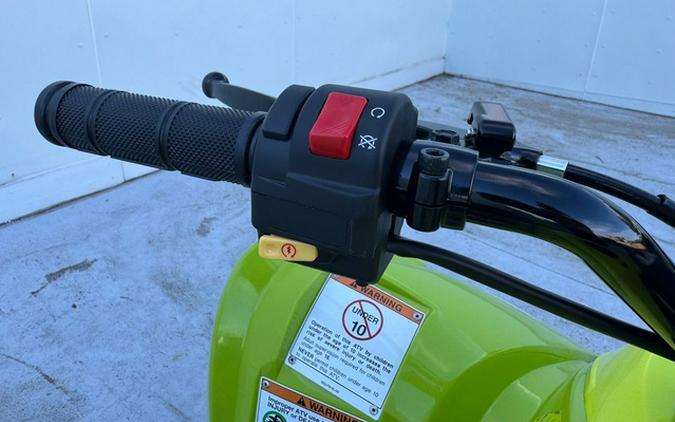 2026 Yamaha Raptor 110