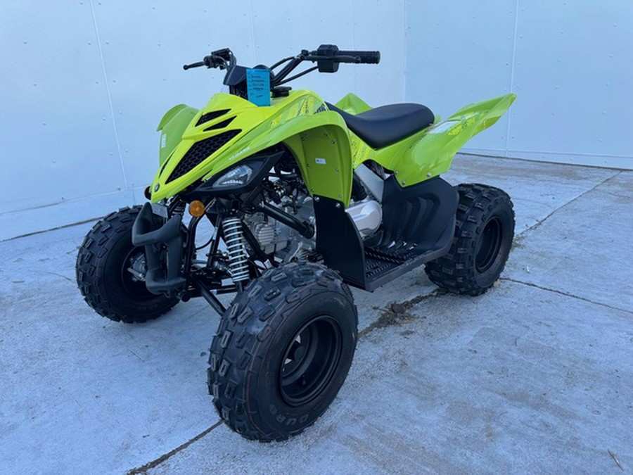 2026 Yamaha Raptor 110