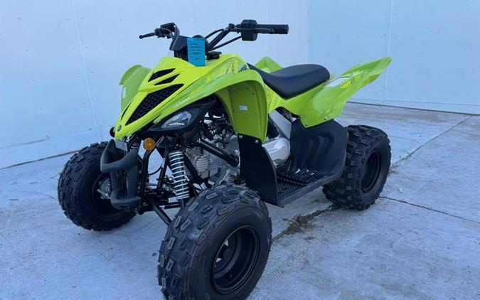 2026 Yamaha Raptor 110