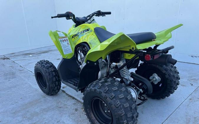 2026 Yamaha Raptor 110