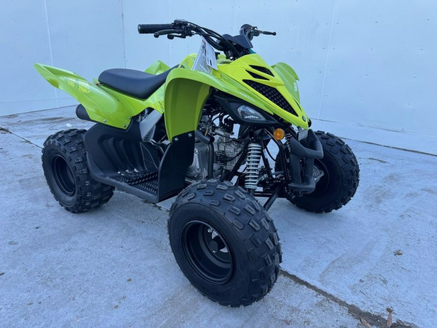 2026 Yamaha Raptor 110