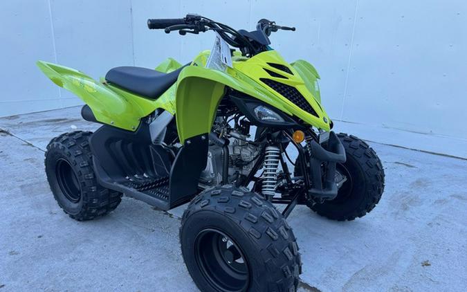 2026 Yamaha Raptor 110