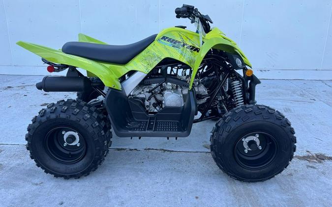 2026 Yamaha Raptor 110