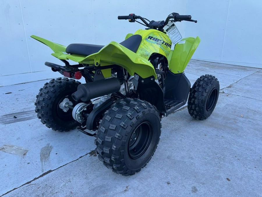 2026 Yamaha Raptor 110