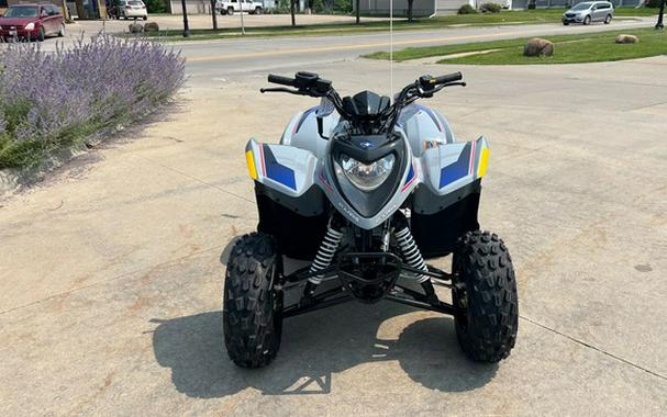 2026 Polaris Phoenix 200