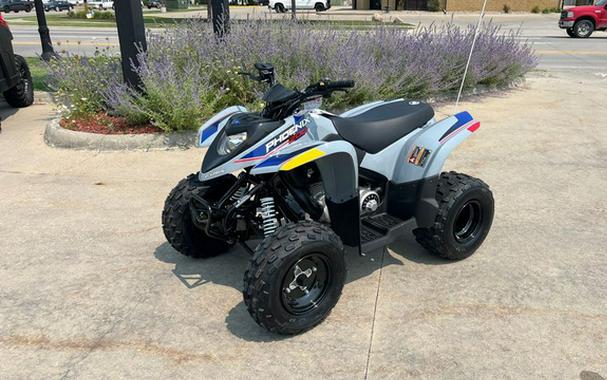 2026 Polaris Phoenix 200