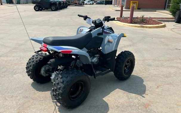 2026 Polaris Phoenix 200