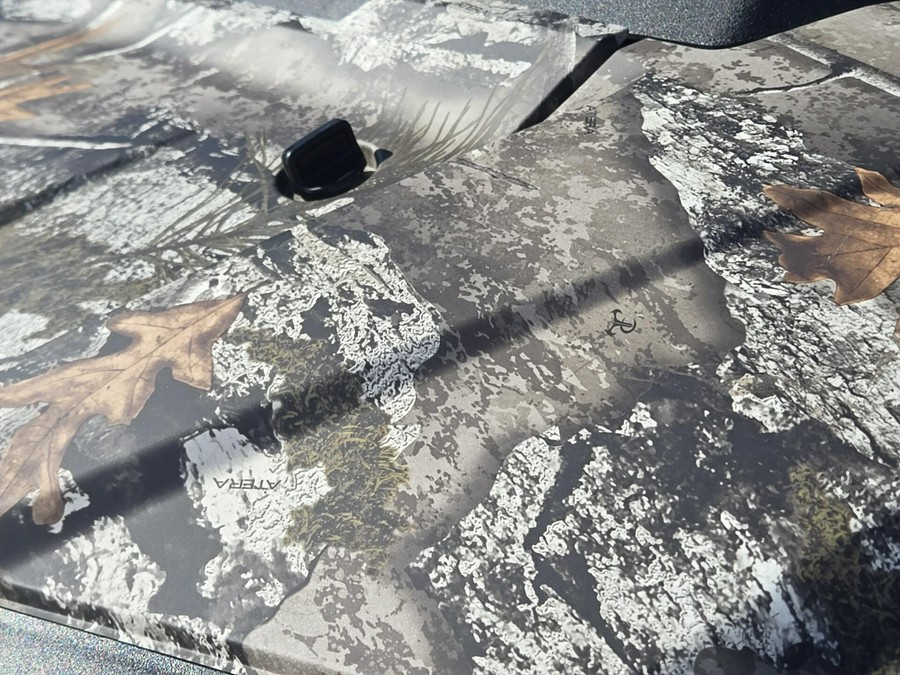 2025 Honda PIONEER 7004 Forest