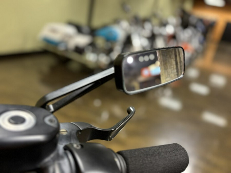 XL 883N 2021 Iron 883™