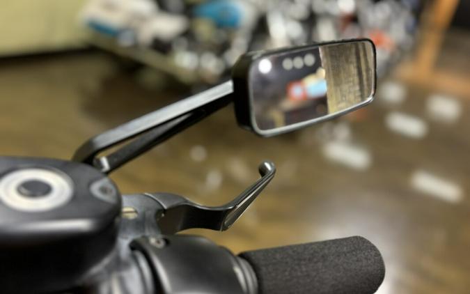 XL 883N 2021 Iron 883™