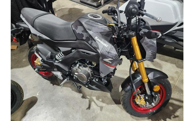 2024 Kawasaki Z125 PRO