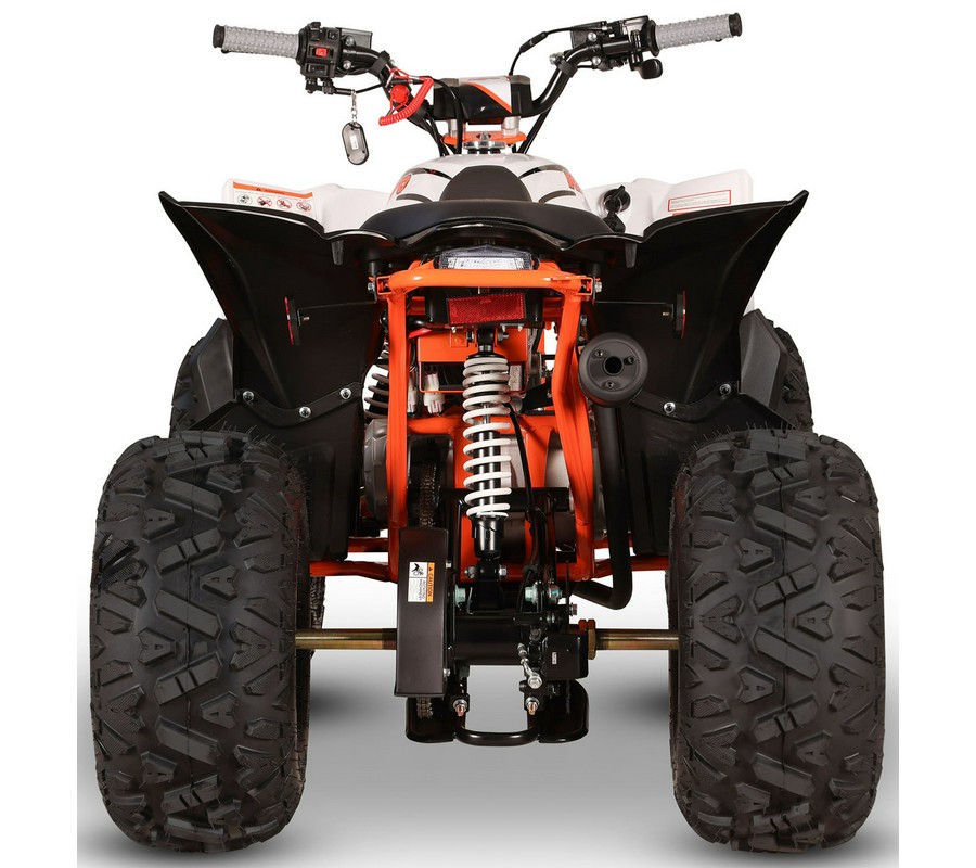 2027 Kayo Storm 110