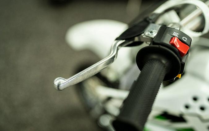 2026 Kawasaki KLX 110R L