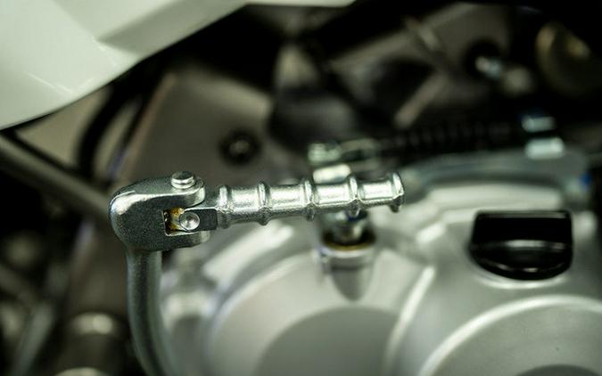 2026 Kawasaki KLX 110R L