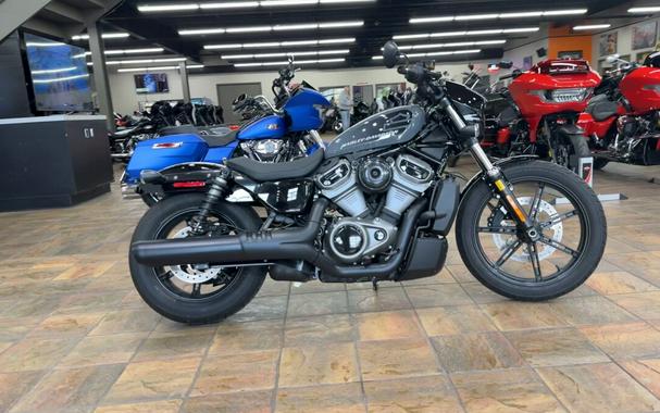 2022 Harley-Davidson® Nightster™ Gunship Gray