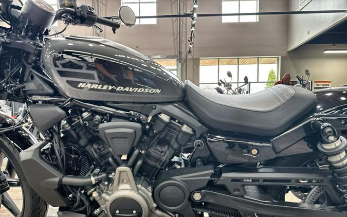 2022 Harley-Davidson® Nightster™ Gunship Gray
