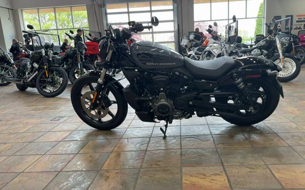2022 Harley-Davidson® Nightster™ Gunship Gray