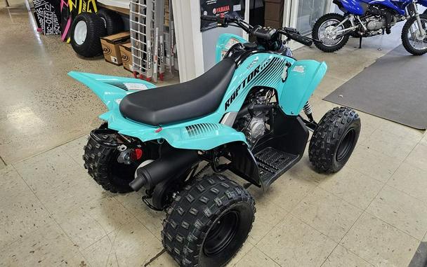 2024 Yamaha Raptor 110