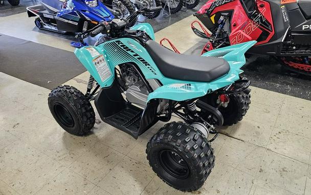 2024 Yamaha Raptor 110