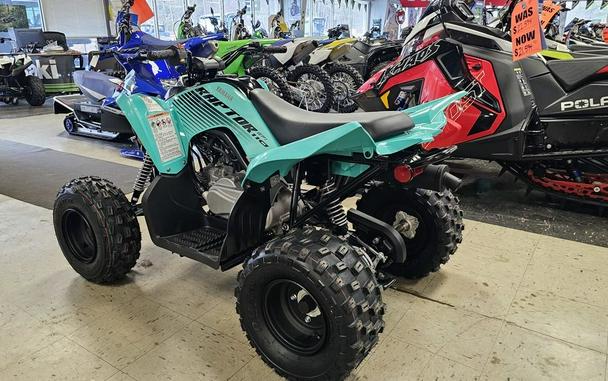 2024 Yamaha Raptor 110