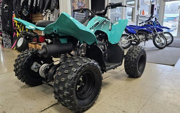 2024 Yamaha Raptor 110