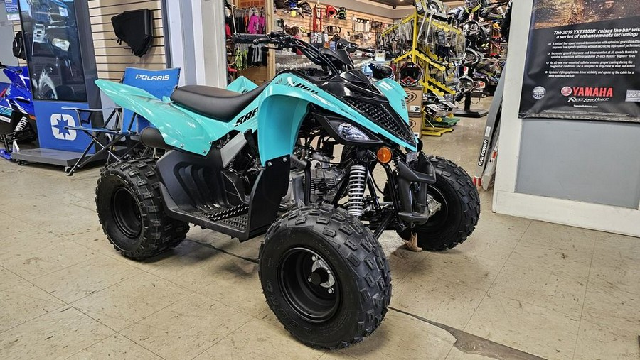 2024 Yamaha Raptor 110