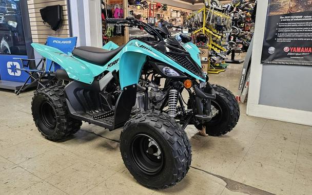 2024 Yamaha Raptor 110