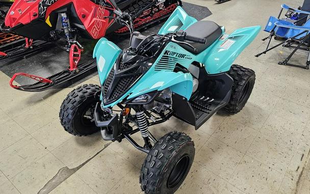 2024 Yamaha Raptor 110