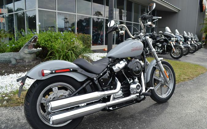 2024 Harley-Davidson Softail Standard Billiard Grey - FXST