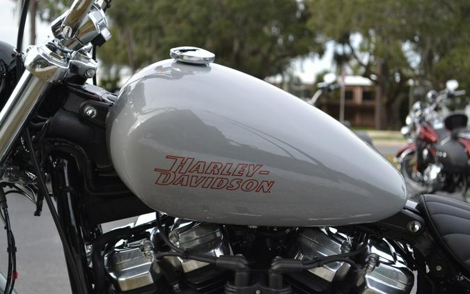 2024 Harley-Davidson Softail Standard Billiard Grey - FXST