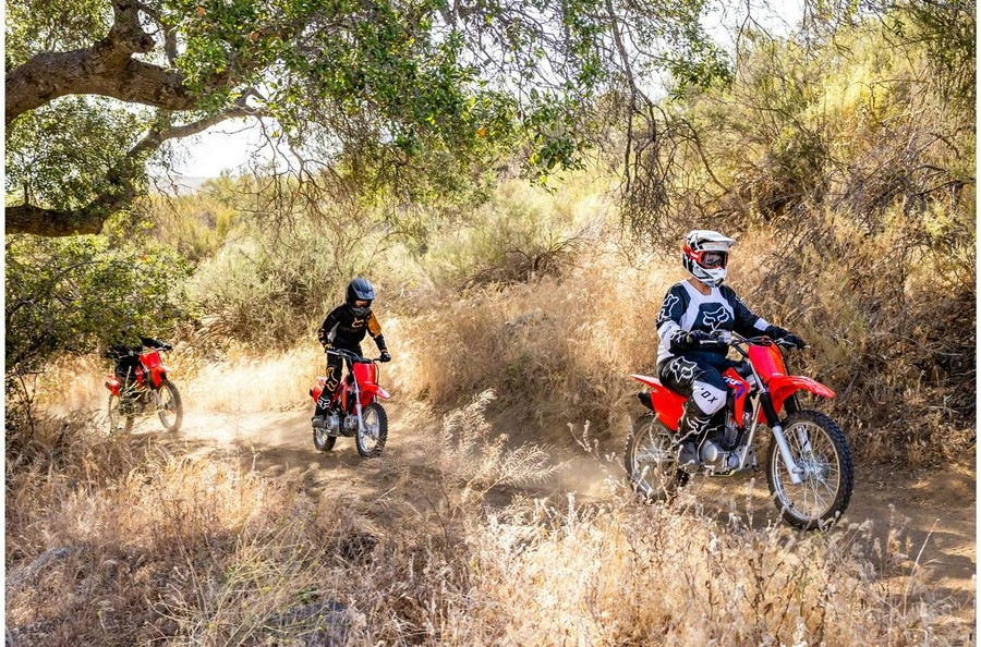 2023 Honda CRF125F - Big Wheel