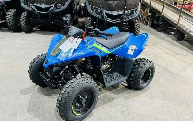 2024 CFMoto CForce 110