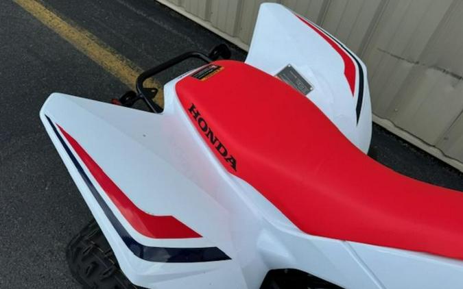 2024 Honda® TRX250X