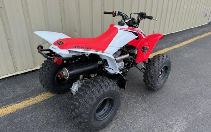 2024 Honda® TRX250X