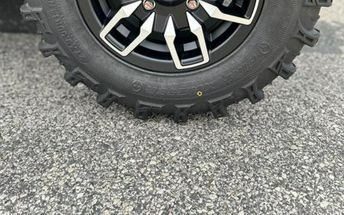 2025 Honda® Pioneer 1000-5 Trail Special Edition