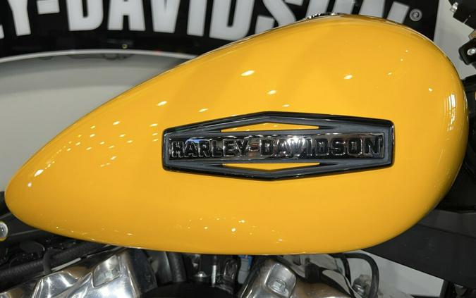 2025 Harley-Davidson Street Bob