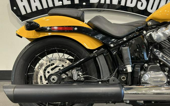 2025 Harley-Davidson Street Bob