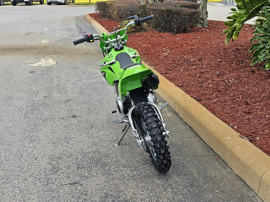 2024 Kawasaki KLX110R