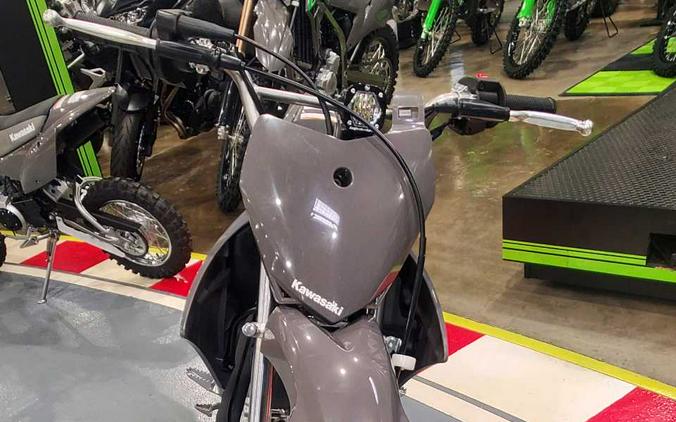 2024 KAWASAKI KLX 110R L