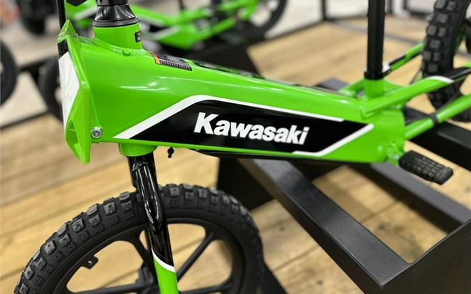 2023 Kawasaki Elektrode