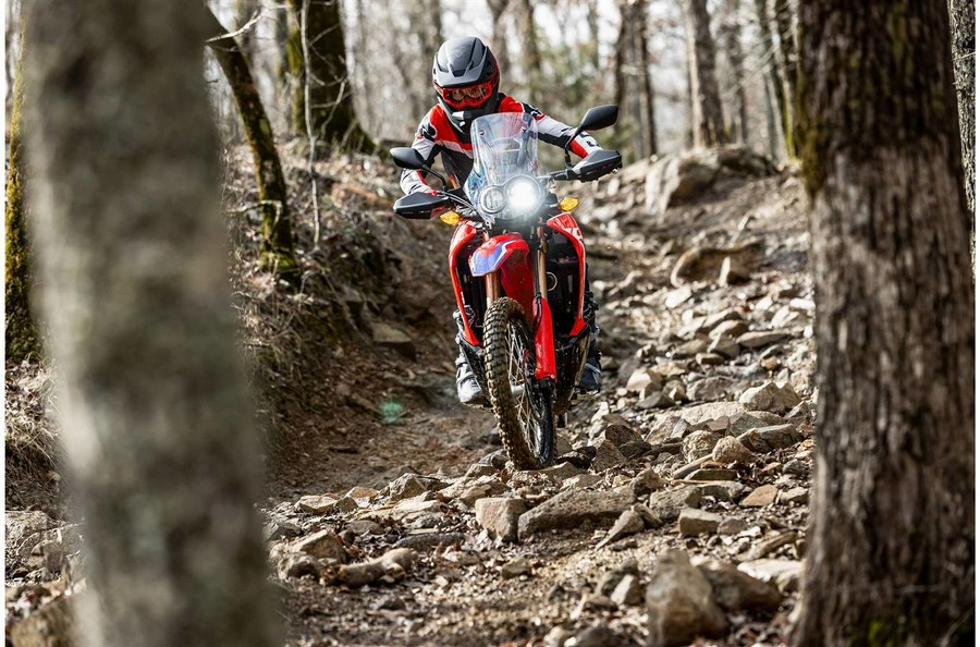 2023 Honda CRF300L Rally