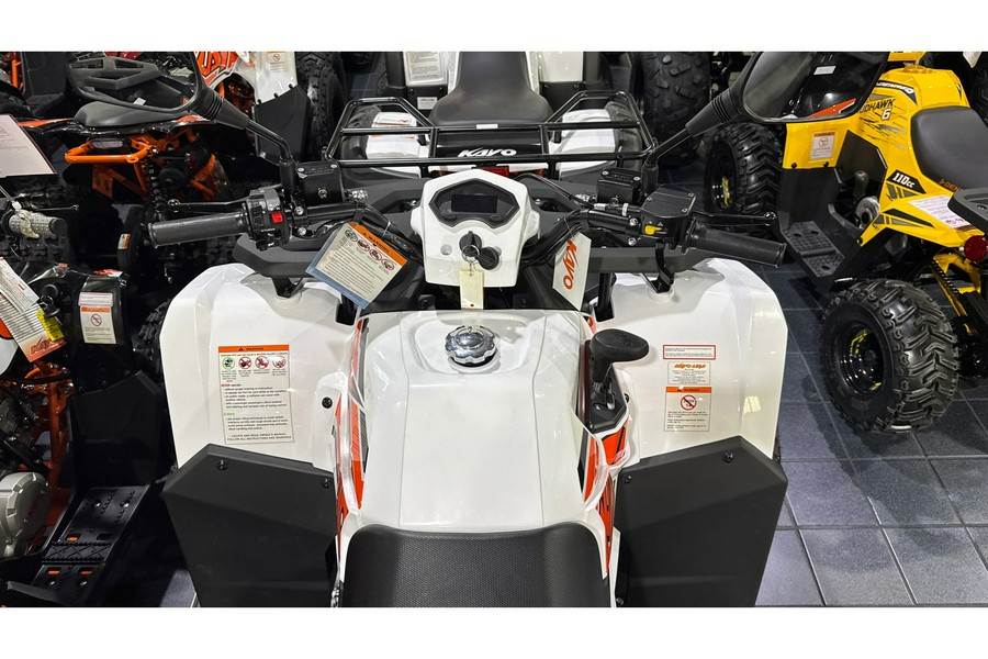 2025 Kayo BULL 300 EFI