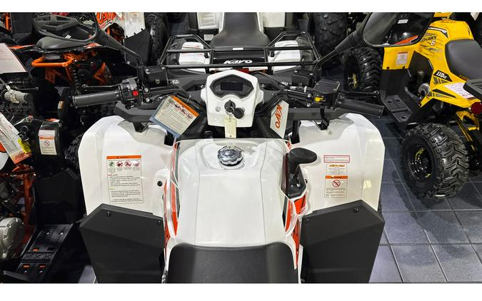 2025 Kayo BULL 300 EFI