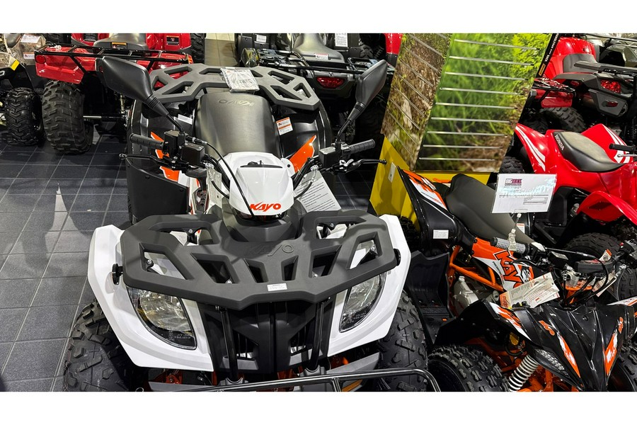 2025 Kayo BULL 300 EFI