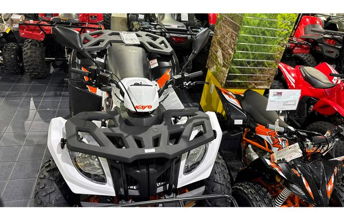 2025 Kayo BULL 300 EFI